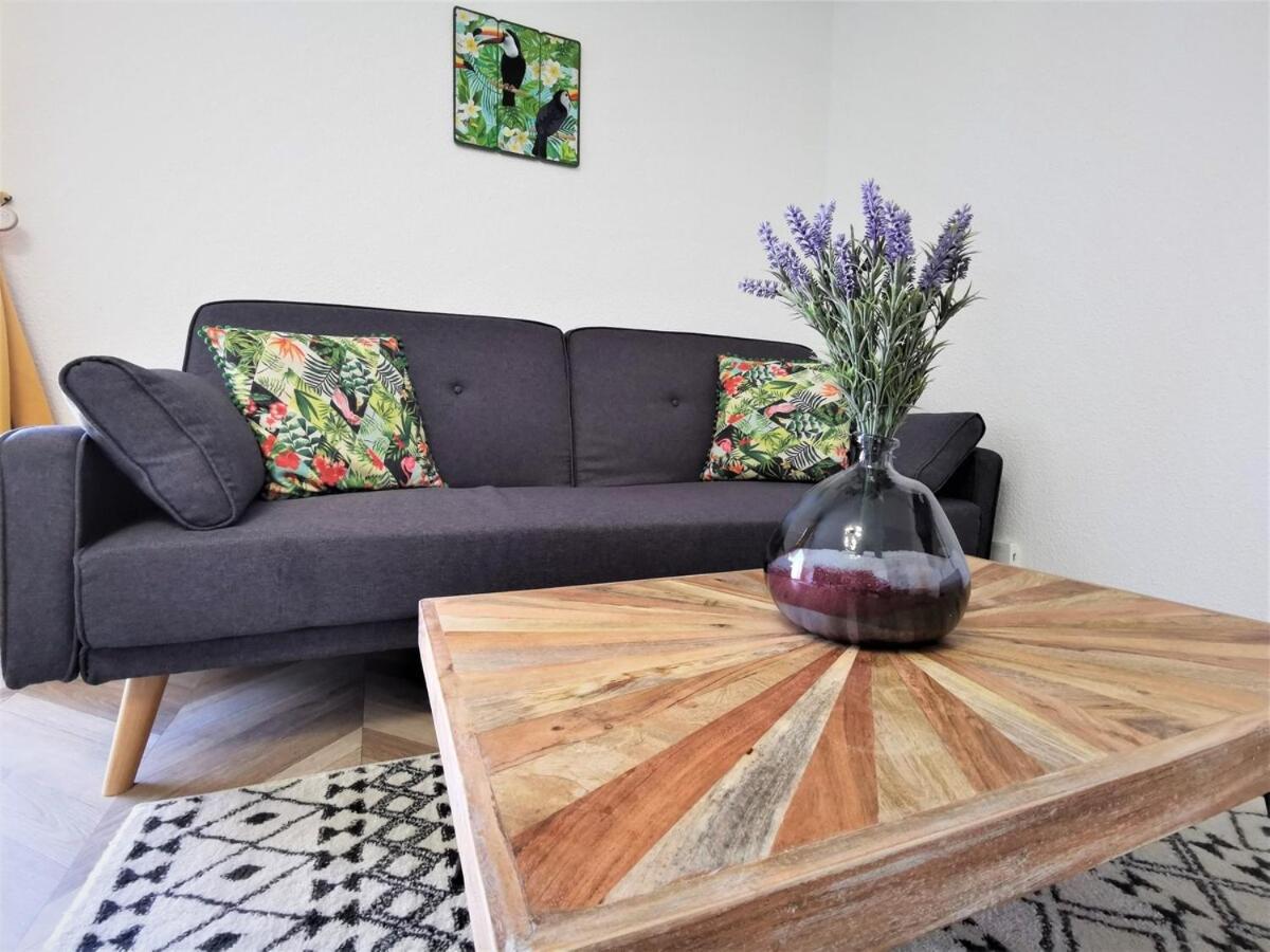 T2 Cosy ₪ Residence Securise ₪ Airbus ₪ Piscine Colomiers Luaran gambar